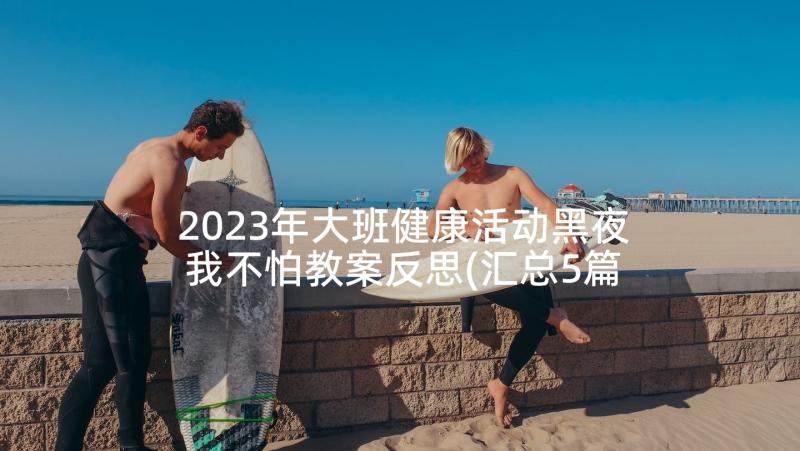 2023年大班健康活动黑夜我不怕教案反思(汇总5篇)