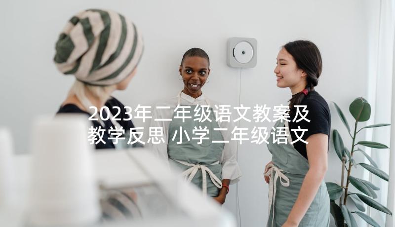 2023年二年级语文教案及教学反思 小学二年级语文教学反思(精选6篇)