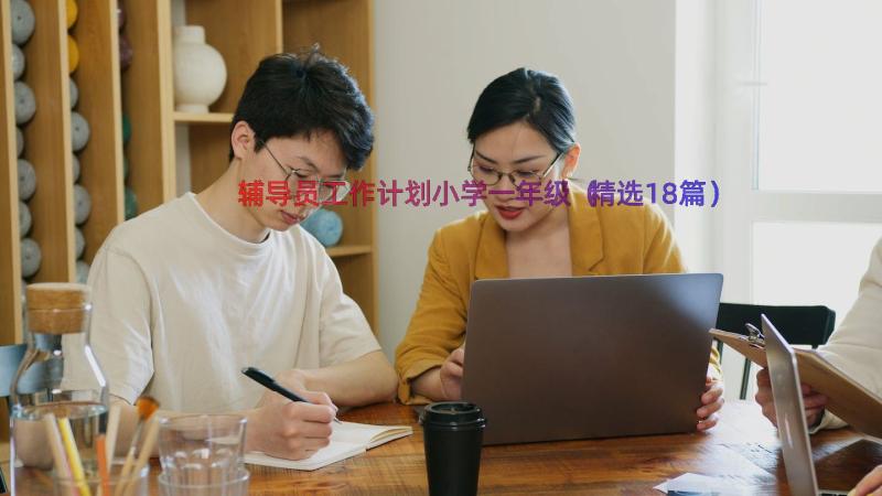 辅导员工作计划小学一年级（精选18篇）