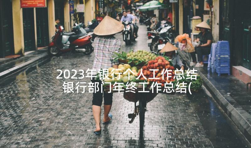 2023年银行个人工作总结 银行部门年终工作总结(优质7篇)