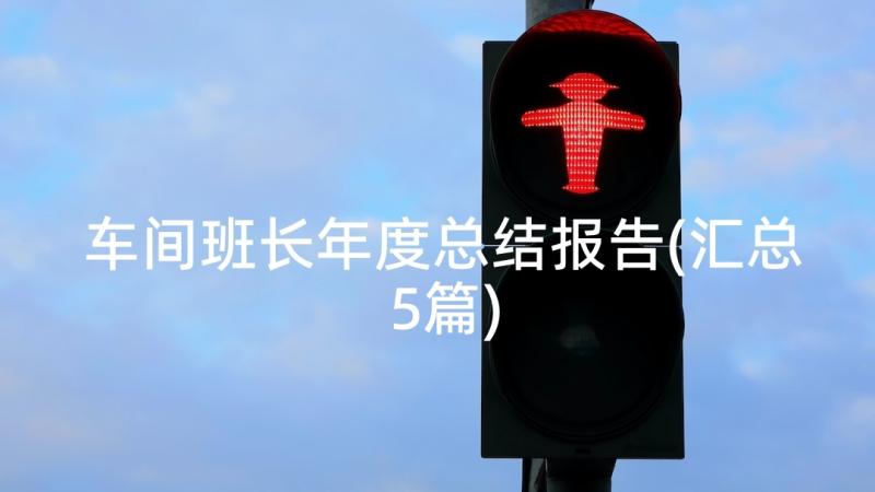 车间班长年度总结报告(汇总5篇)