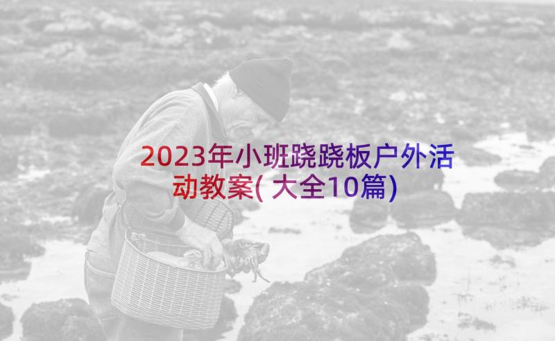 2023年小班跷跷板户外活动教案(大全10篇)