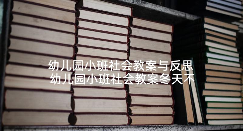 幼儿园小班社会教案与反思 幼儿园小班社会教案冬天不怕冷含反思(模板6篇)