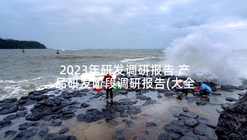 2023年研发调研报告 产品研发阶段调研报告(大全5篇)