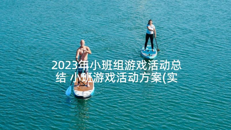 2023年小班组游戏活动总结 小班游戏活动方案(实用9篇)