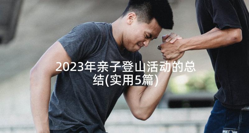 2023年亲子登山活动的总结(实用5篇)