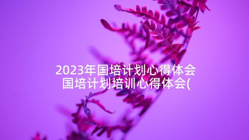 2023年国培计划心得体会 国培计划培训心得体会(优质7篇)