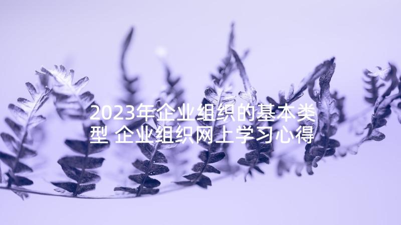 2023年企业组织的基本类型 企业组织网上学习心得体会(优秀8篇)