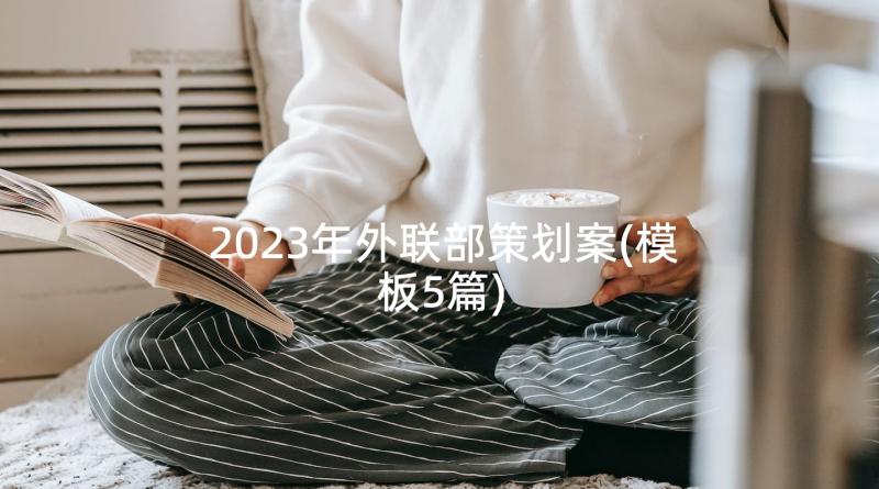 2023年外联部策划案(模板5篇)