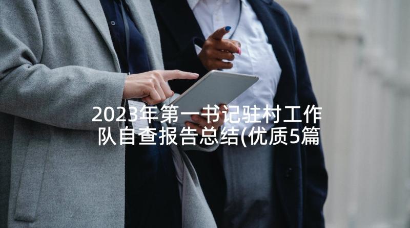 2023年第一书记驻村工作队自查报告总结(优质5篇)