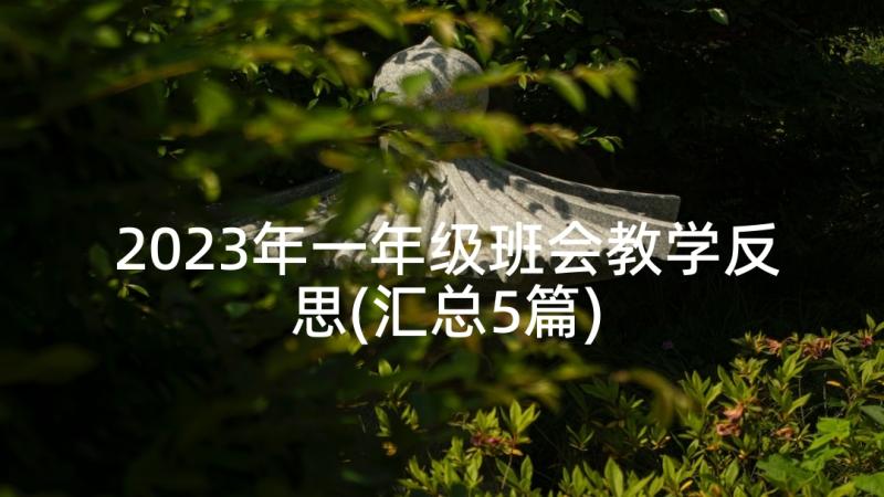 2023年一年级班会教学反思(汇总5篇)