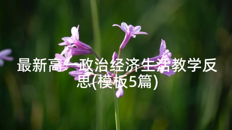 最新高一政治经济生活教学反思(模板5篇)