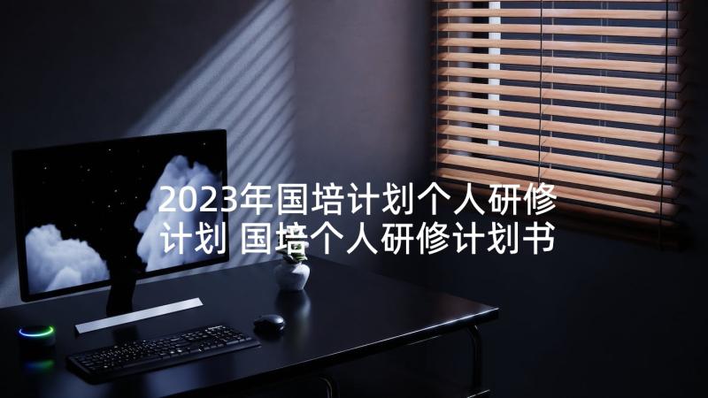 2023年国培计划个人研修计划 国培个人研修计划书(优秀5篇)