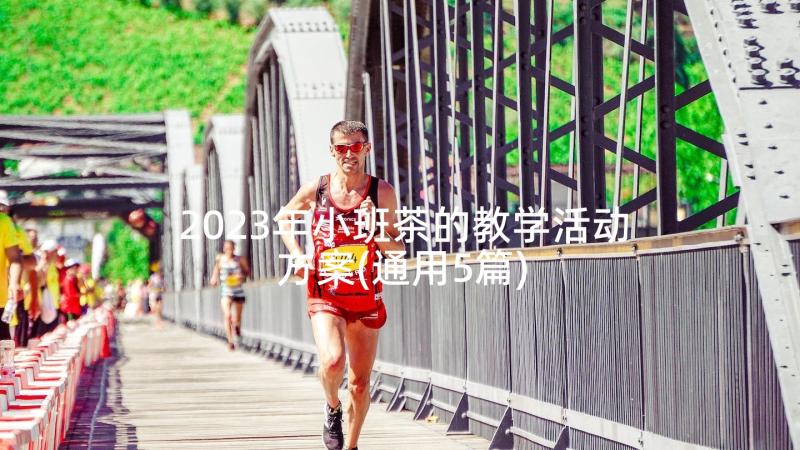 2023年小班茶的教学活动方案(通用5篇)