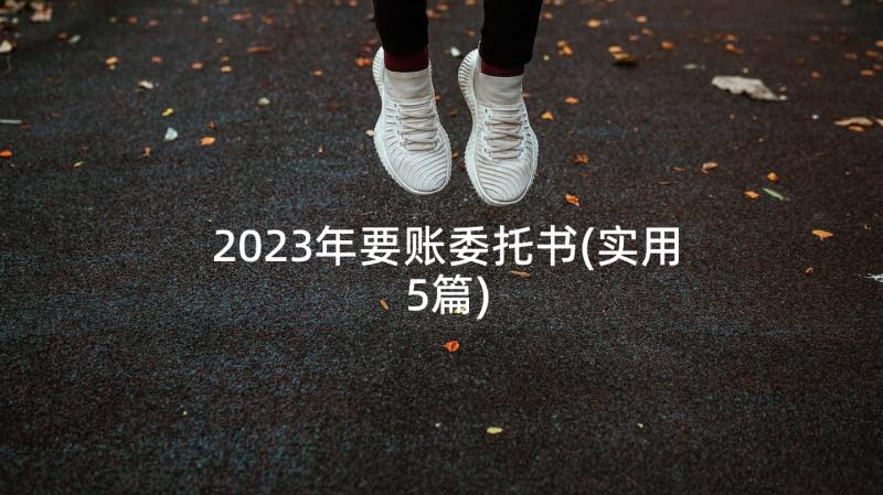 2023年要账委托书(实用5篇)