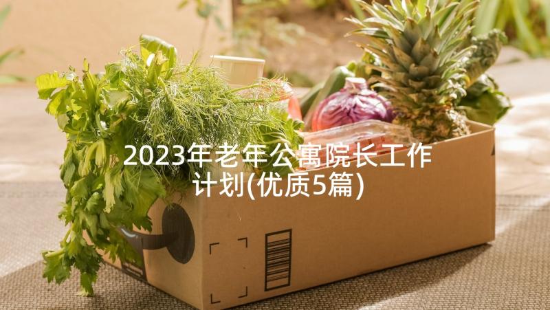 2023年老年公寓院长工作计划(优质5篇)