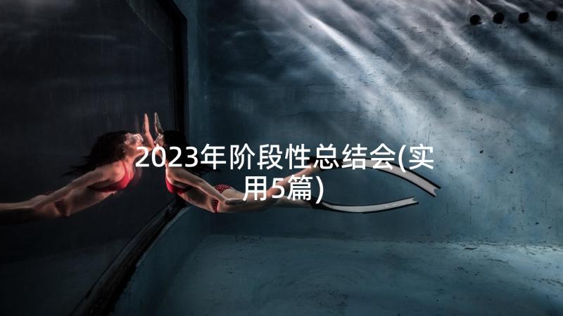 2023年阶段性总结会(实用5篇)