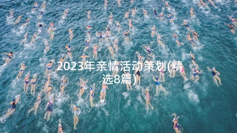 2023年亲情活动策划(精选8篇)