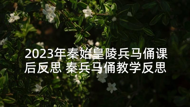 2023年秦始皇陵兵马俑课后反思 秦兵马俑教学反思(汇总8篇)