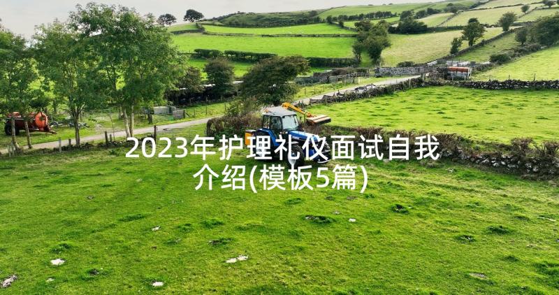 2023年护理礼仪面试自我介绍(模板5篇)