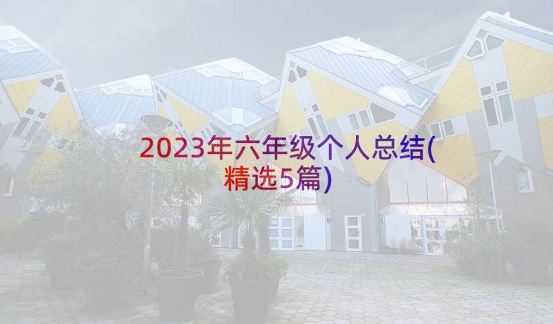 2023年六年级个人总结(精选5篇)