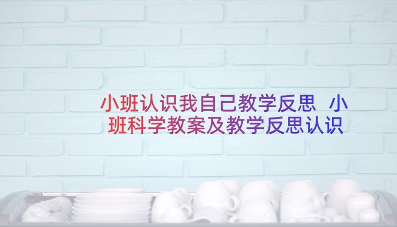 小班认识我自己教学反思 小班科学教案及教学反思认识水果(大全5篇)