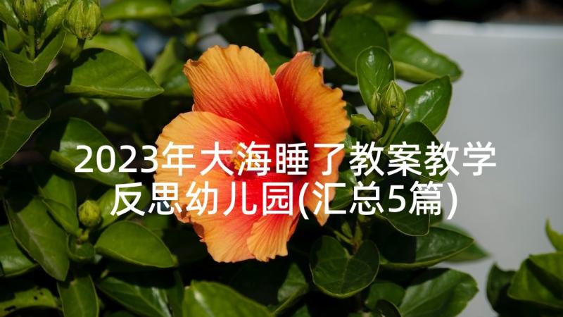 2023年大海睡了教案教学反思幼儿园(汇总5篇)