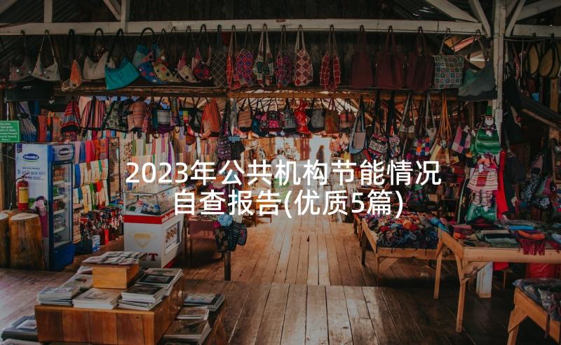 2023年公共机构节能情况自查报告(优质5篇)