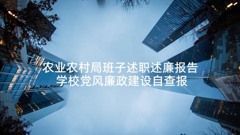 农业农村局班子述职述廉报告 学校党风廉政建设自查报告(通用7篇)