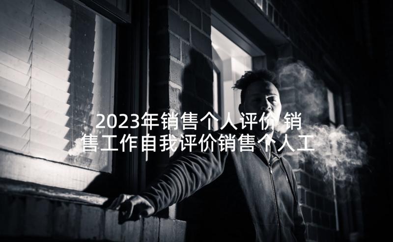 2023年销售个人评价 销售工作自我评价销售个人工作自我评价(模板5篇)