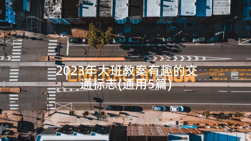 2023年大班教案有趣的交通标志(通用5篇)