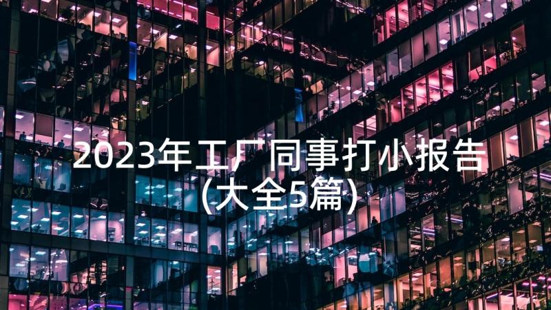 2023年工厂同事打小报告(大全5篇)