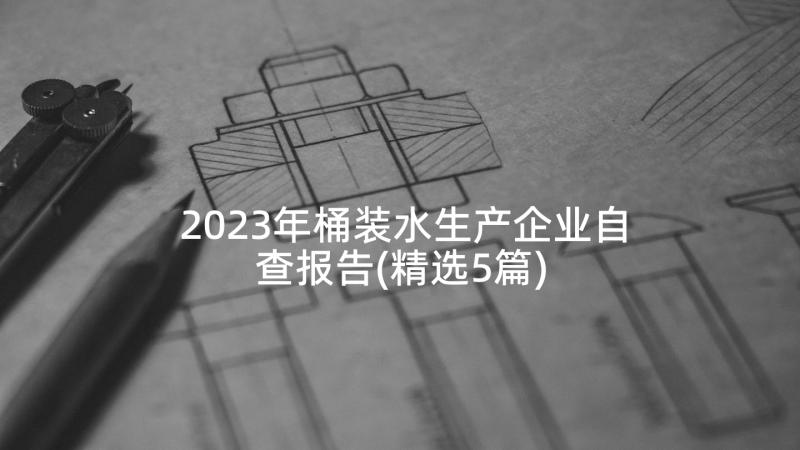 2023年桶装水生产企业自查报告(精选5篇)