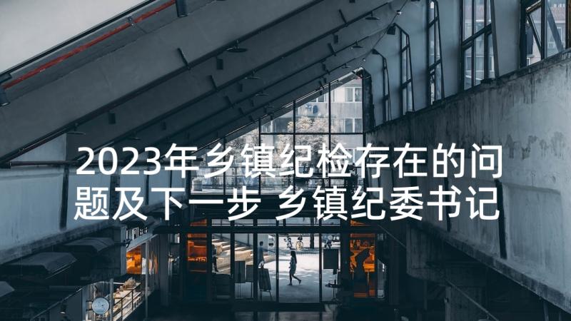 2023年乡镇纪检存在的问题及下一步 乡镇纪委书记述职报告(优质6篇)