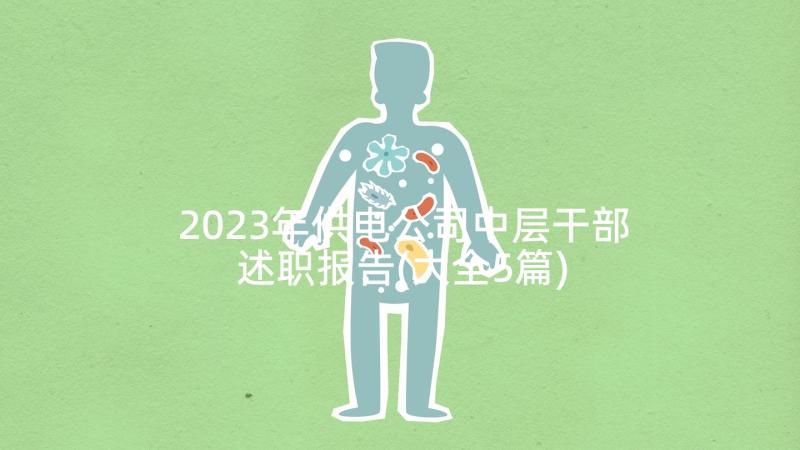 2023年供电公司中层干部述职报告(大全5篇)