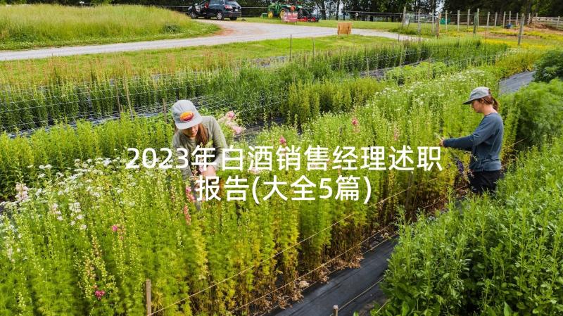 2023年白酒销售经理述职报告(大全5篇)