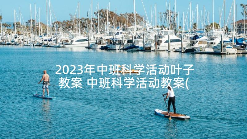 2023年中班科学活动叶子教案 中班科学活动教案(优秀6篇)