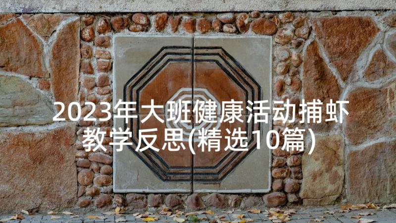 2023年大班健康活动捕虾教学反思(精选10篇)