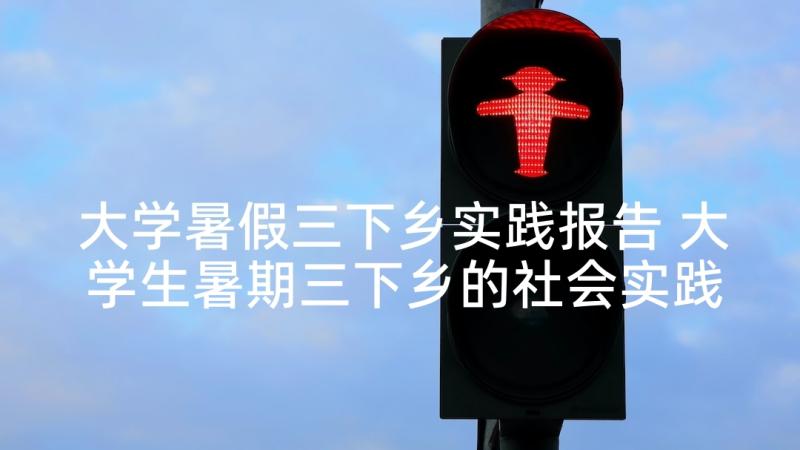 大学暑假三下乡实践报告 大学生暑期三下乡的社会实践报告(精选10篇)