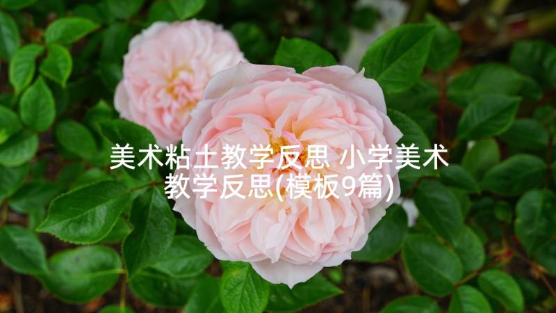 美术粘土教学反思 小学美术教学反思(模板9篇)