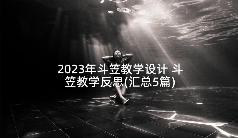 2023年斗笠教学设计 斗笠教学反思(汇总5篇)