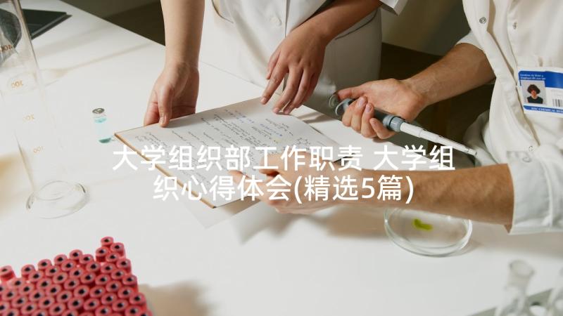 大学组织部工作职责 大学组织心得体会(精选5篇)