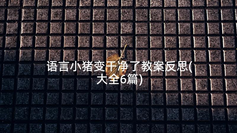 语言小猪变干净了教案反思(大全6篇)