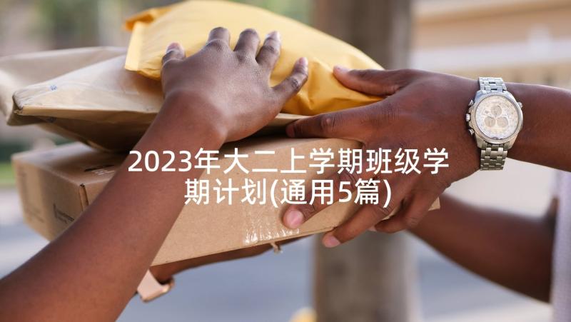 2023年大二上学期班级学期计划(通用5篇)