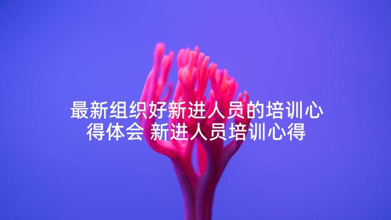 最新组织好新进人员的培训心得体会 新进人员培训心得体会(汇总5篇)