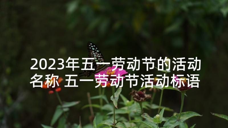 2023年五一劳动节的活动名称 五一劳动节活动标语(优秀5篇)