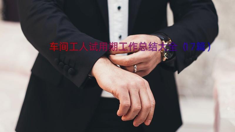 车间工人试用期工作总结大全（17篇）