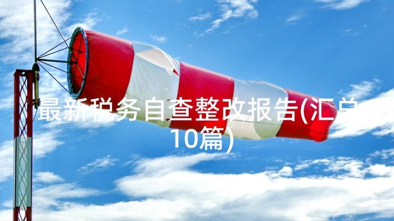 最新税务自查整改报告(汇总10篇)