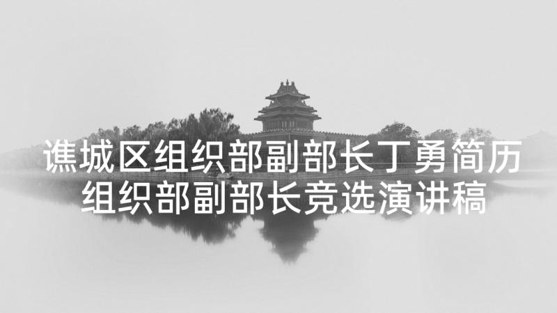 谯城区组织部副部长丁勇简历 组织部副部长竞选演讲稿(实用5篇)