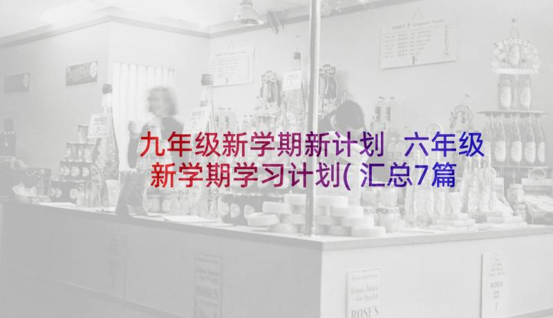 九年级新学期新计划 六年级新学期学习计划(汇总7篇)